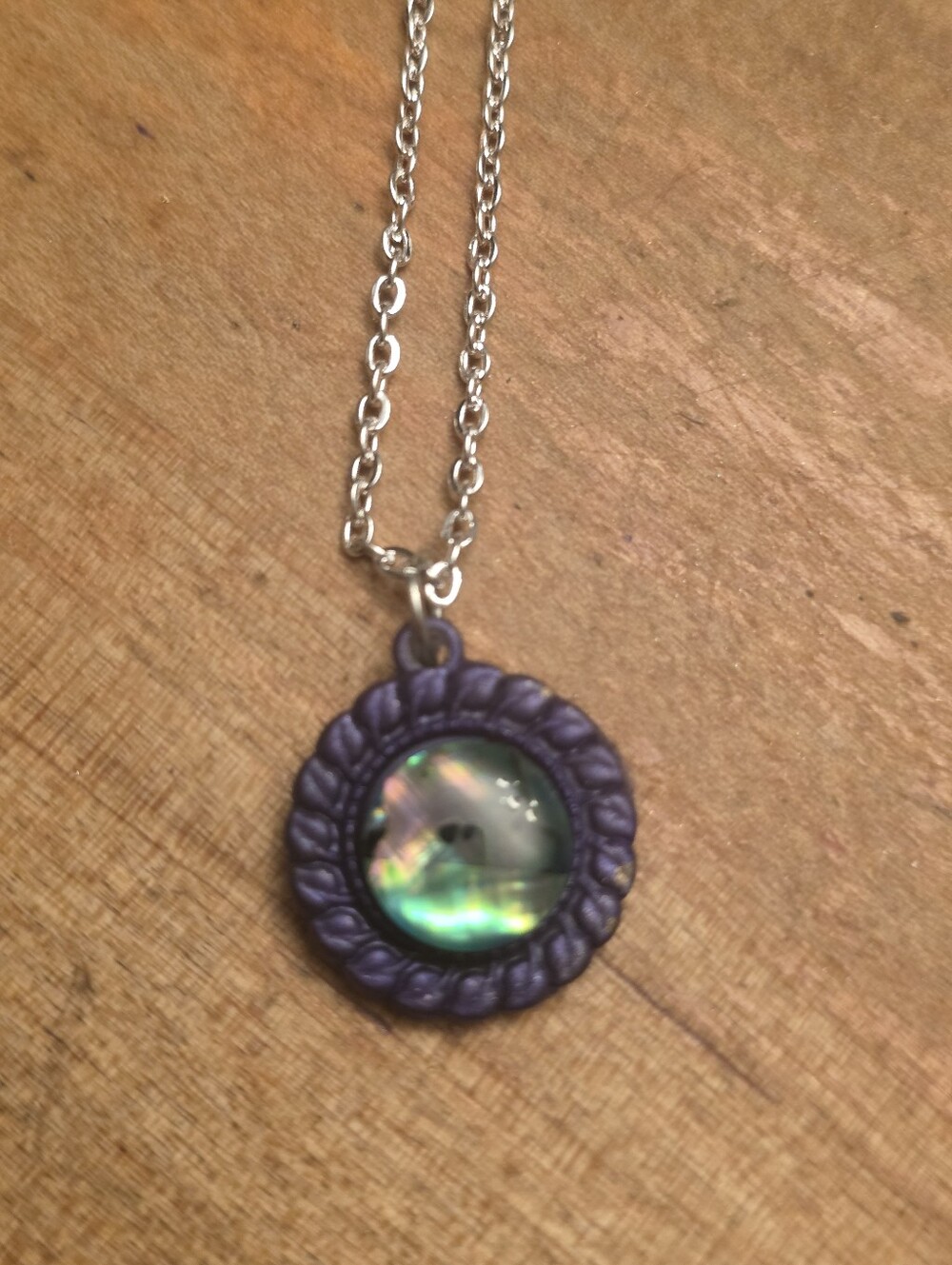 Abalon & Resin Circular Pendant On Silver Tone Chain Necklace